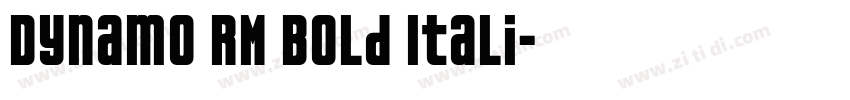 Dynamo RM Bold Itali字体转换